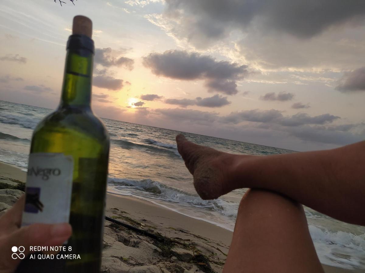 Los Versos De Zaira San Onofre Luaran gambar