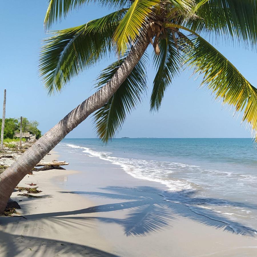 Los Versos De Zaira San Onofre Luaran gambar